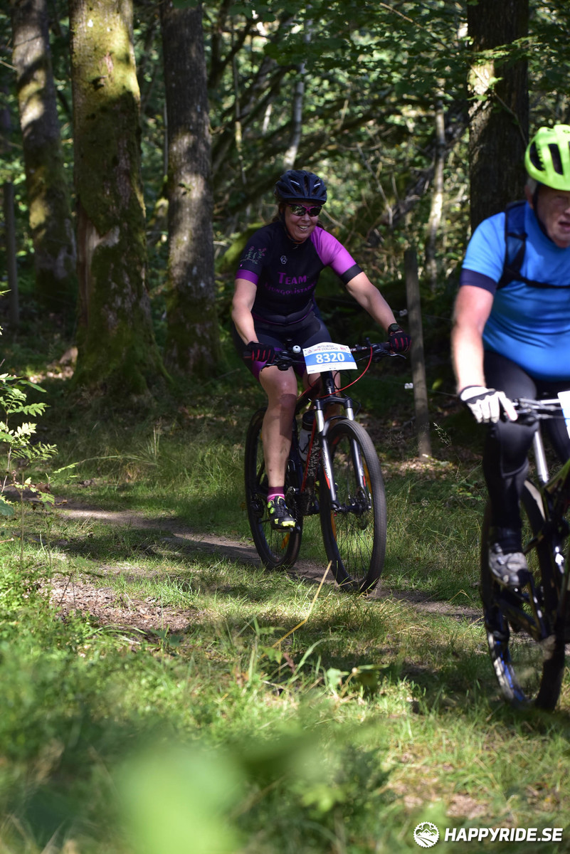 Bild från Bockstensturen 2019